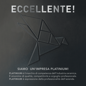 Platinium_Flyer_Doppelseiten_I_2025-1